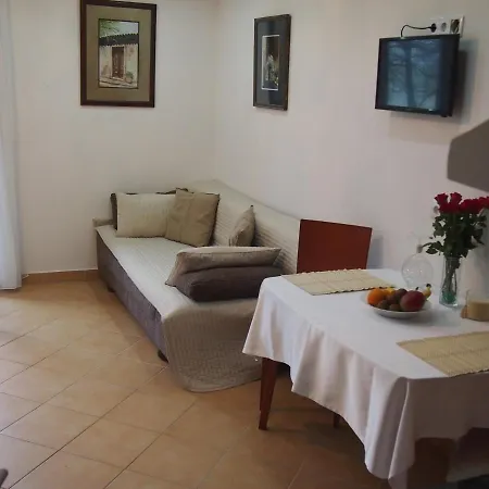 招待所 Saba-haz 3*