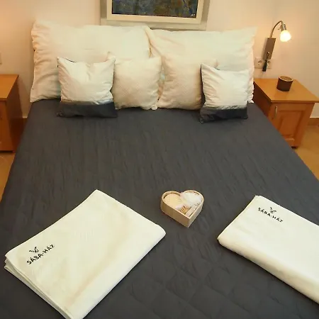 招待所 Saba-haz 3*