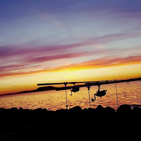 招待所 Saba-haz 3*