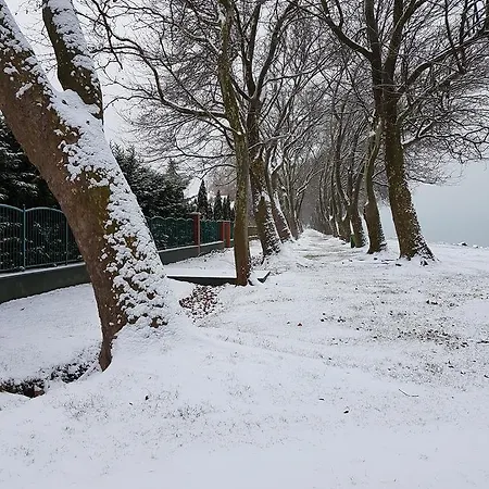 Saba-haz בית הארחה